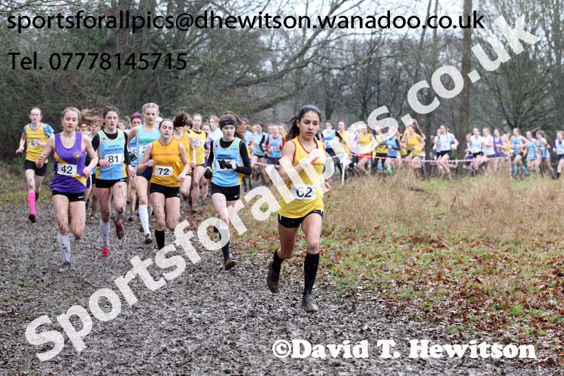 Intermediate girls Northern Inter Counties Schools Cross Country, Stockton. Photo: David T. Hewitson/Sports for All Pics